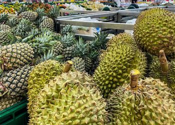 Wajib Tahu! Inilah Daftar Buah yang Perlu Dihindari Oleh Ibu Hamil, Berbahaya Bagi Kesehatan