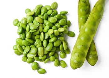 Suka dengan Lalapan Petai? Kenali 6 Manfaatnya untuk Kesehatan Tubuh