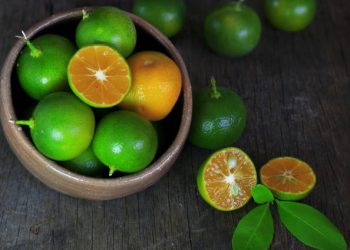 Jangan Asal-asalan! Berikut Cara Tepat Budidaya Jeruk Kalamansi Agar Cepat Panen