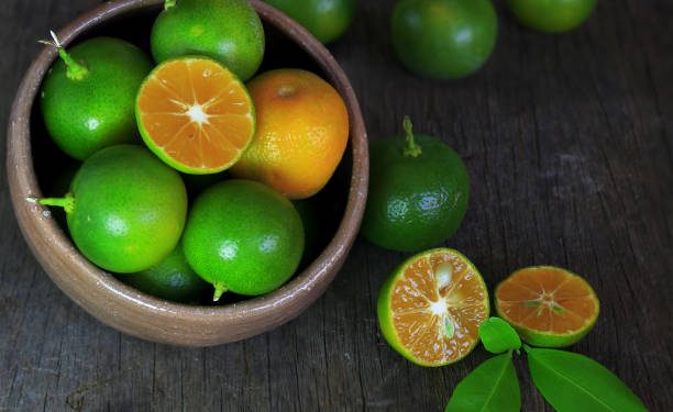 Jangan Asal-asalan! Berikut Cara Tepat Budidaya Jeruk Kalamansi Agar Cepat Panen