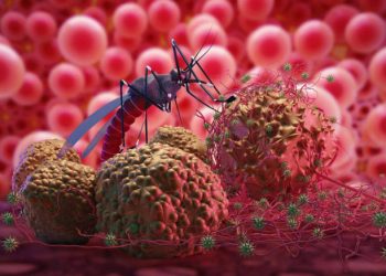 Nyeri Otot hingga Sakit Kepala, Bisa Jadi Tanda Utama dari Gejala DBD, Ini Penjelasannya!