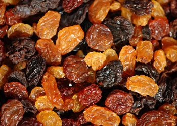Waspada! Cek 6 Efek Samping Konsumsi Kismis Berlebihan Bagi Kesehatan, Timbulkan Masalah Pencernaan