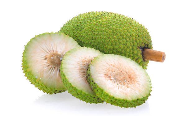 Jadi Camilan Favorit Masyarakat Indonesia, Ini Ragam Manfaat Buah Sukun untuk Kesehatan