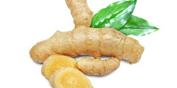 Serupa Tapi Tak Sama, Ini Dia Jenis-jenis Kunyit dan Kegunaan yang Tersimpan