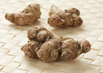 Ampuh Cegah Sel Kanker, Ketahui 5 Manfaat Kencur untuk Kesehatan