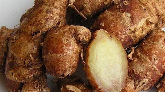 Intip Disini 5 Khasiat Kencur Sebagai Obat Tradisional