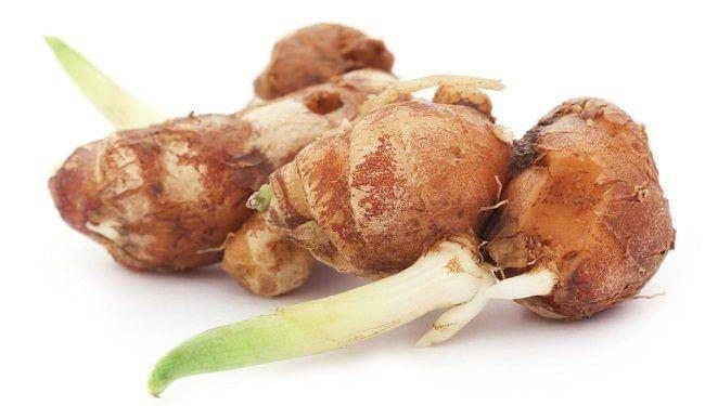 Waspada! Konsumsi Kencur Berlebihan Memicu Timbulnya Efek Samping