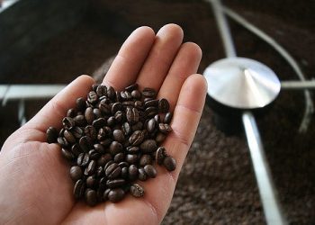 Jangan Asal-asalan, Ini Daftar Pilihan Kopi yang Aman untuk Lambung