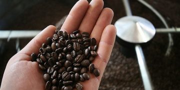 Jangan Asal-asalan, Ini Daftar Pilihan Kopi yang Aman untuk Lambung