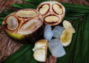 Kaya Akan Kandungan Serat, Ini 6 Manfaat Buah Lontar untuk Kesehatan