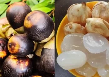 Mau dapatkan Wajah Glowing Hanya dengan Satu Langkah? Gunakan Masker Buah Lontar Solusinya!