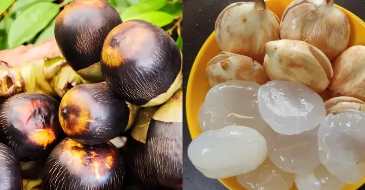 Mau dapatkan Wajah Glowing Hanya dengan Satu Langkah? Gunakan Masker Buah Lontar Solusinya!