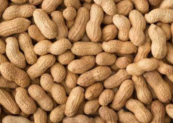 Bukan Jerawat, Ini 5 Efek Samping Konsumsi Kacang Tanah Berlebihan