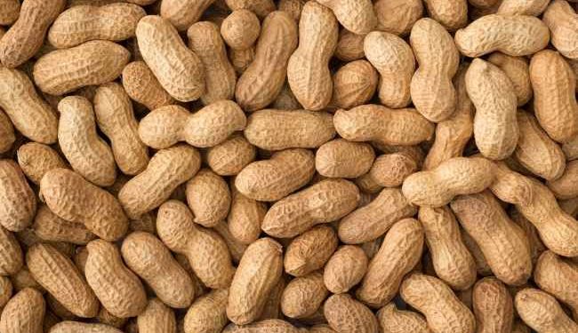 Bukan Jerawat, Ini 5 Efek Samping Konsumsi Kacang Tanah Berlebihan