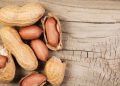 Mengulik Fakta dan Mitos Tentang Kacang Tanah, Benarkah Bisa Bikin Berat Badan Naik?