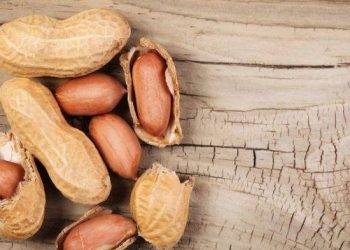 Mengulik Fakta dan Mitos Tentang Kacang Tanah, Benarkah Bisa Bikin Berat Badan Naik?