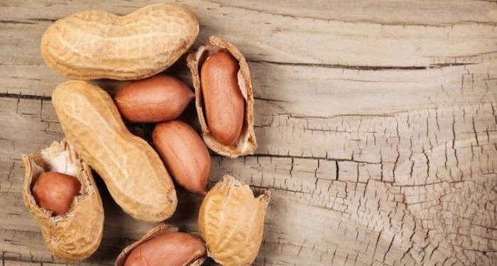 Mengulik Fakta dan Mitos Tentang Kacang Tanah, Benarkah Bisa Bikin Berat Badan Naik?