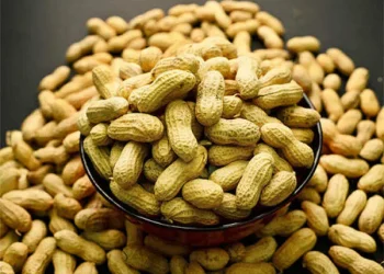 5 Kelompok Ini Perlu Hindari Konsumsi Kacang Tanah, Siapa Saja?