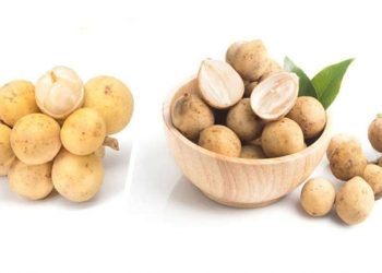 Suka Langsat atau Duku? Yuk, Kenali Perbedaannya Terlebih Dahulu!