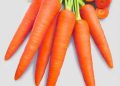 Jangan Abaikan, Mengonsumsi Wortel Berlebihan Bisa Memicu Efek Samping, Cek Disini!