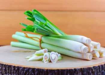 Cek Disini Deretan Kelompok Orang yang Dilarang untuk Konsumsi Sereh, Siapa Saja?