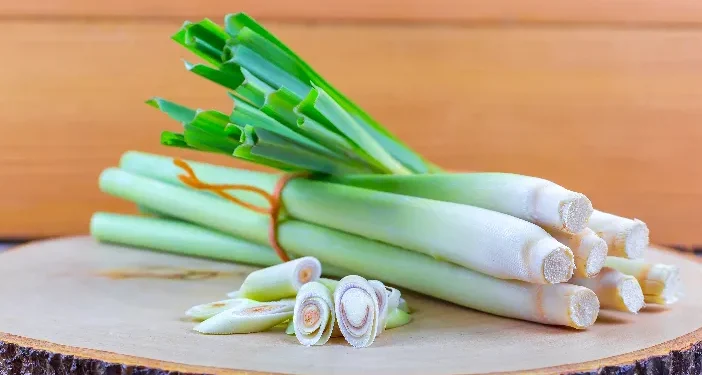 Cek Disini Deretan Kelompok Orang yang Dilarang untuk Konsumsi Sereh, Siapa Saja?