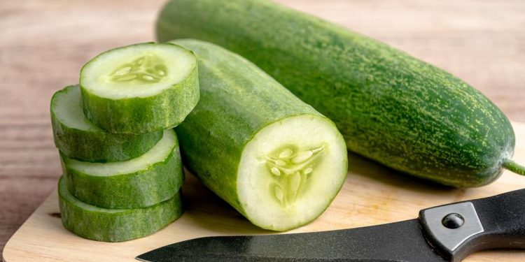 Mentimun Tawarkan 5 Manfaat Terbaik untuk Kesehatan, Salah Satunya Jadi Obat Diet Alami