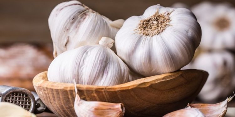 Konsumsi Bawang Hitam Ini Bisa Menjaga Fungsi Otak, Cek Manfaat di Sini