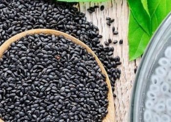 Makin Cantik, Biji Selasih Dapat Melembapkan Wajah, Cek Manfaat di Sini