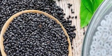 Makin Cantik, Biji Selasih Dapat Melembapkan Wajah, Cek Manfaat di Sini