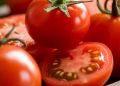 Kulit Makin Terawat Alami dengan Buah Tomat, Ini Manfaatnya! Ampuh Merangsang Produksi Kolagen