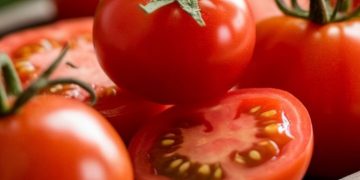 Kulit Makin Terawat Alami dengan Buah Tomat, Ini Manfaatnya! Ampuh Merangsang Produksi Kolagen