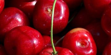 Cek Sekarang! Manfaat Buah Ceri untuk Tubuh, Dapat Jadi Obat Tidur