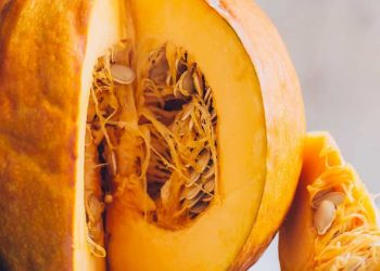 Bahaya Makan Labu Kuning Berlebihan, Cek Sekarang! Dapat Sebabkan Gangguan Pencernaan