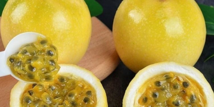 Cukup Konsumsi Buah Markisa Ini! Dapat Meredakan Nyeri Sendi, Cek Manfaat di Sini