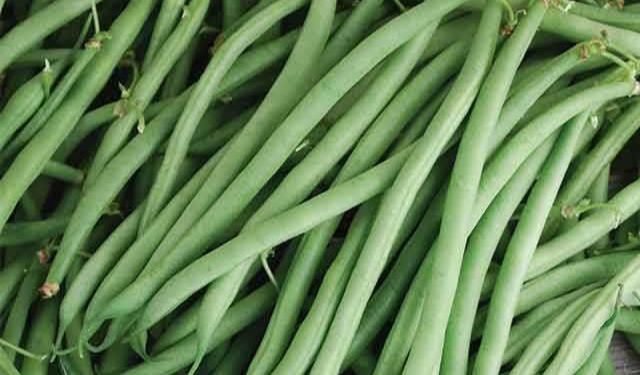 Baik untuk Ibu Hamil, Ini Manfaat Kacang Buncis yang Perlu Diketahui, Yuk Rutinkan