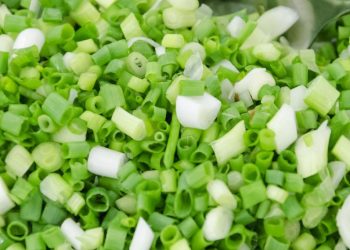 Makan Daun Bawang Berlebihan, Bisa Sebabkan Efek Samping Ini, Apa Saja?