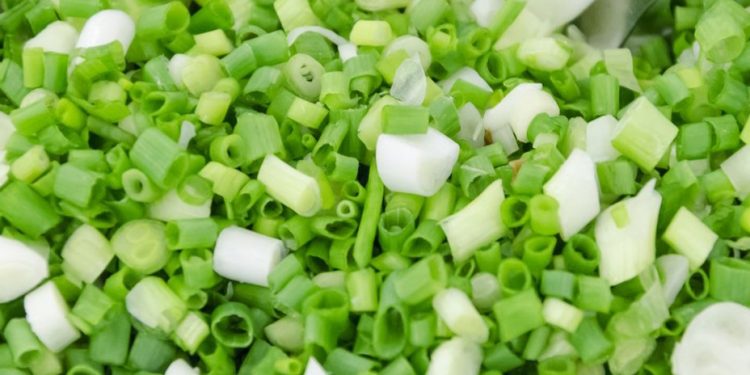 Makan Daun Bawang Berlebihan, Bisa Sebabkan Efek Samping Ini, Apa Saja?