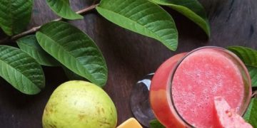 Cek di Sini! Efek Samping Makan Daun Jambu Biji Berlebihan, Perlu Konsumsi Secukupnya