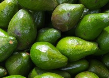 Tidak Baik untuk Pencernaan, Ini Efek Samping dari Buah Alpukat yang Perlu Diketahui