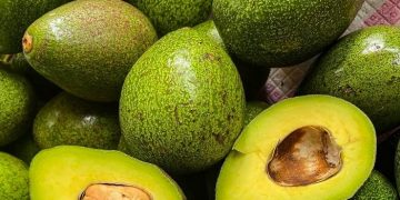 Ampuh Menghilangkan Flek Hitam, Cek Manfaat Buah Alpukat untuk Kecantikan Ini