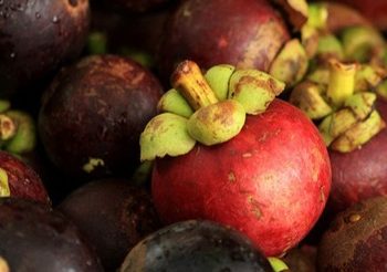 Baik untuk Daya Tahan Tubuh Ibu Hamil, Cukup Konsumsi Buah Manggis, Ini Manfaat yang Perlu Diketahui