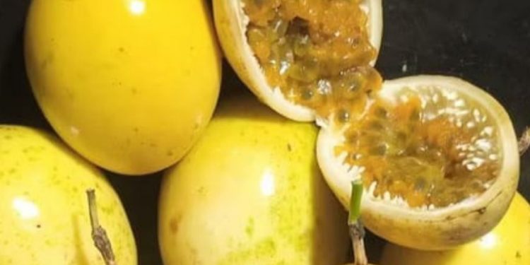 Berlebihan Konsumsi Markisa Tidak Baik untuk Pencernaan! Cek Efek Samping Lainnya