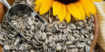 Baik untuk Kesehatan Kulit, Ini Manfaat Kuaci yang Jarang Diketahui! Cek Sekarang