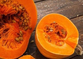 Manfaat Lain Labu Kuning untuk Tubuh, Dipercaya Bisa Mengontrol Berat Badan