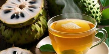 Bisa Mengobati Maag, Cek Minuman Sehat dari Daun Sirsak Ini, Cukup Konsumsi Rutin