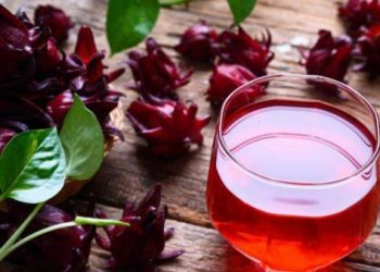 Manfaat Lain Minum Teh Rosella untuk Tubuh, Salah Satunya Mampu Meredakan Nyeri Haid
