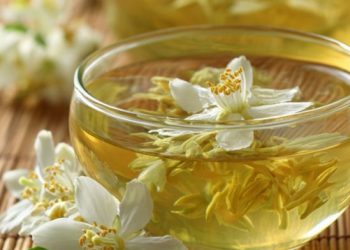 Teh Melati Bisa Meningkatkan Kesehatan Mental, Cukup Konsumsi Rutin, Cek Manfaatnya