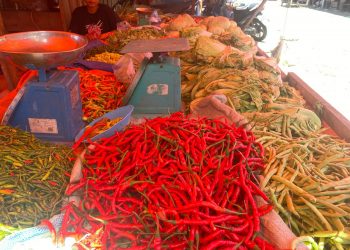 Harga Bapok di Pasar Ampera Merangkak Naik, Ayam Tembus Rp48 Ribu per Kg