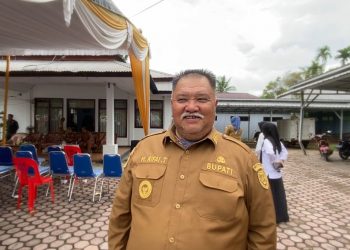 Harapan Baru Petani Kopi, Bengkulu Selatan Pastikan Terima Bantuan Bibit dari Ketua DPD RI